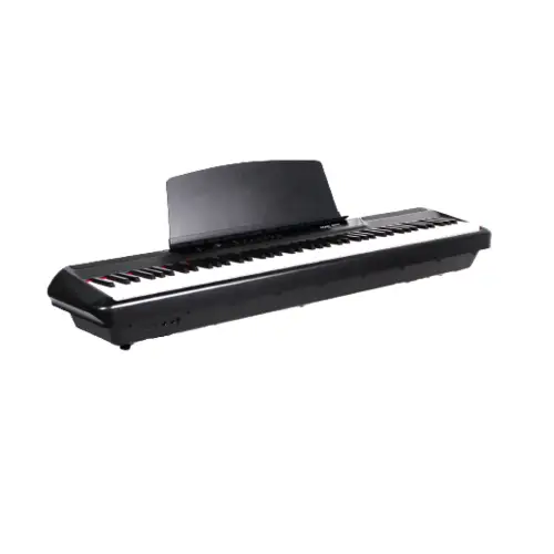 פסנתר חשמלי נייד בצבע שחור P-60 מבית Pearl River